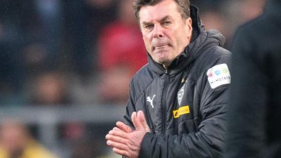 «Bild»: Hecking Trainer-Kandidat beim Hamburger SV