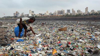 Japanische Forscher entwickelten kompostierbares Plastik
