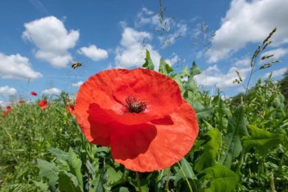 Pünktlich zum Sommerbeginn kommt ein heißes Wochenende