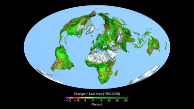 „Die Welt wird immer grüner“- Aus einer öffentlichen Anhörung über „Welternährung und Klimawandel“