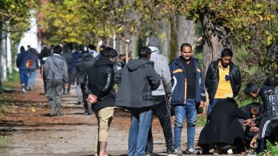 Illegale Einwanderung nach Deutschland hält unvermindert an – Balkan-Route wird wieder stärker genutzt