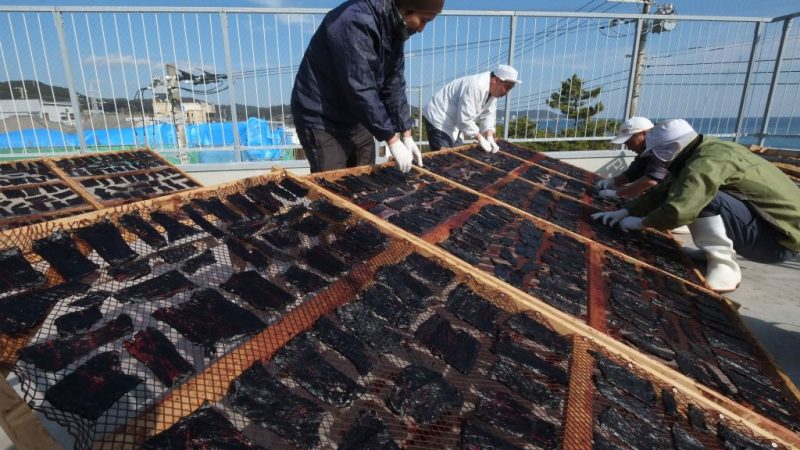 Nach 30 Jahren: Japan nimmt am 1. Juli den kommerziellen Walfang wieder auf