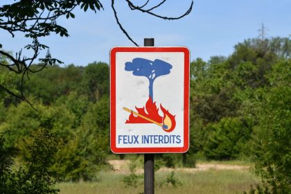 Südfrankreich: Dutzende Waldbrände durch Hitzewelle – mehrere Verletzte