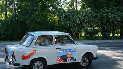 Mecklenburg-Vorpommern: Trabbi-Fahrer kollidiert mit Nandu