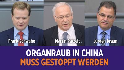 Parteiübergreifender Zuspruch aus SPD, CDU und AfD: Organraub in China muss gestoppt werden