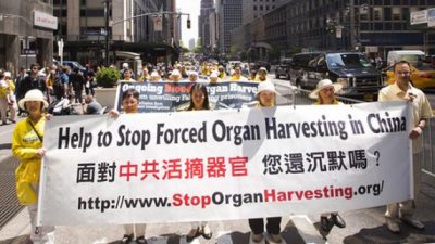 Die tragische Wahrheit: Staatlich sanktionierter Organraub in China