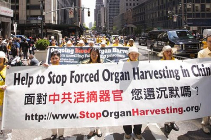 Die tragische Wahrheit: Staatlich sanktionierter Organraub in China