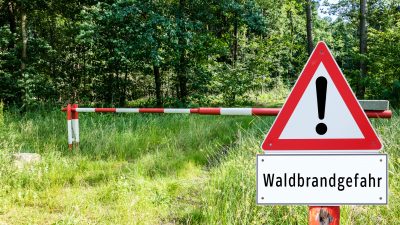 Betreten verboten? FDP-Politiker fordert wegen Brandgefahr Wald-Betretungsverbot