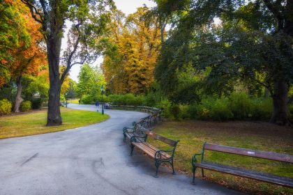 Glasflaschen-Attacke im Stadtpark Deggendorf: Senegalese belästigt Kinder und Passanten, verletzt Helfer teils schwer