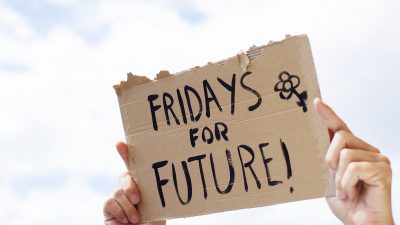 Studie sieht großen Imageverlust von Fridays for Futures