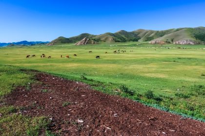 Franz Liszt gewidmet: In der Weite der Steppe