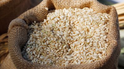 Südkorea hilft Nordkorea mit 50 000 Tonnen Reis – Zehn Millionen Menschen von Hunger bedroht