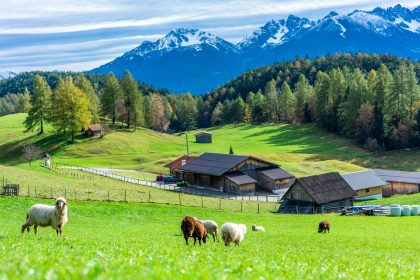Bauernverband: Neuer Handelsvertrag gefährdet Zukunft der Familienbetriebe