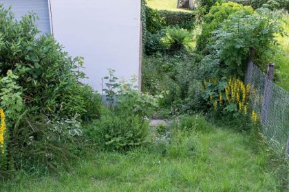 Baby aus Hausmüll gerettet – Mutter in Untersuchungshaft