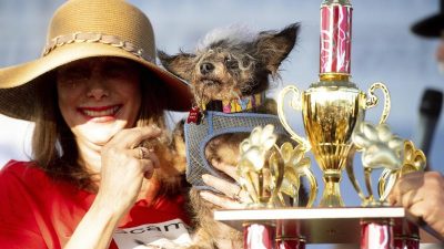 Straßenhunde und gute Seelen: „Scamp the Tramp“ ist der hässlichste Hund der Welt