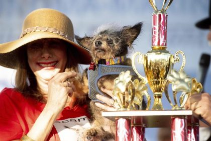 Straßenhunde und gute Seelen: „Scamp the Tramp“ ist der hässlichste Hund der Welt