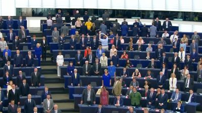 Eklat in EU-Parlamentssitzung: Brexit-Partei dreht sich beim Spielen der EU-Hymne um