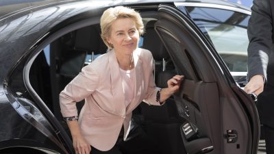 Umfrage: Mehrheit gegen von der Leyen als EU-Kommissionschefin