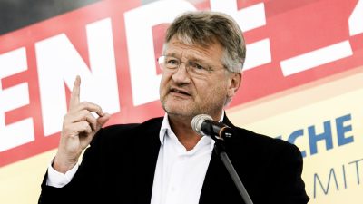 Meuthen sieht eigene Wahlniederlage gelassen: „Flügel“ hat keine Mehrheit in der Partei