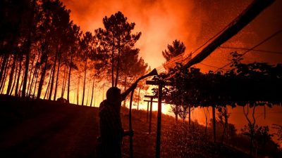 Waldbrand noch nicht unter Kontrolle: 1300 Feuerwehrleute im Einsatz in Portugal