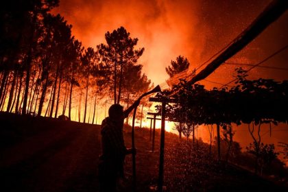 Waldbrand noch nicht unter Kontrolle: 1300 Feuerwehrleute im Einsatz in Portugal
