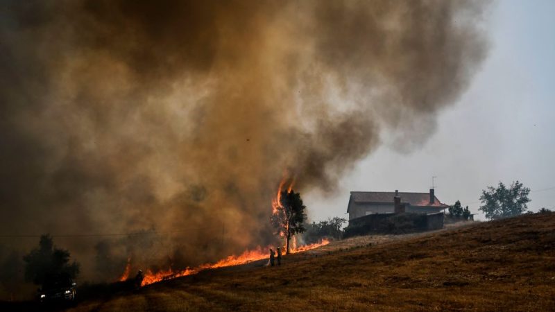 Portugal: Brände sind fast gänzlich unter Kontrolle – 70 Quadratkilometer Wald zerstört