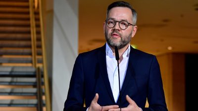 SPD-Parteivorsitz: Roth hofft auf Kandidatur von „Elephanten der Partei“