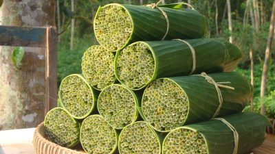 Vietnamese fertigt kompostierbare Strohhalme aus Wildgras, um weltweites Plastikproblem zu lösen