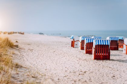 Was ist in einem Sandkorn versteckt? Wissenschaftler macht unglaubliche Bilder
