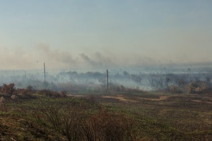 Waldbrände in Sibirien – auch Kasachstan und die Arktis betroffen