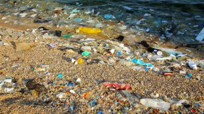 Plastiktüten, Metalldosen, Lebensmittelverpackungen und Kleidung: Mittelmeer weist europaweit die höchste Müllbelastung auf