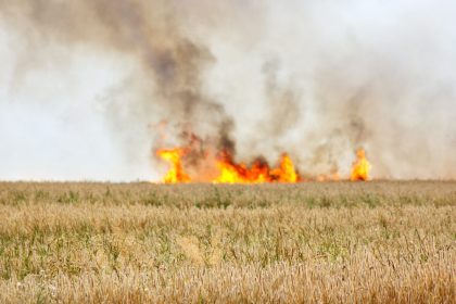 Brandstiftung in Besigheim: Kornfeld hinter Asylheim an mehreren Stellen angezündet – Eritreer verhaftet