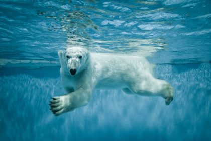 Klimatologin Judith Curry: Klimaforschung zu korrumpiert und politisiert, um noch seriös zu sein