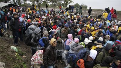 Zahl der Asylbewerber steigt auf knapp 1,8 Millionen – Mehr Asylanträge aus der Türkei