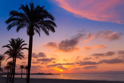 Wieder Vergewaltigungen auf Mallorca: Deutsche Urlauberin (20) am Strand missbraucht – Weiteres Opfer in selbiger Nacht