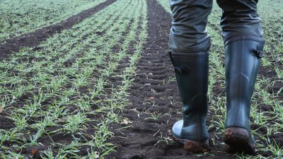 Parkinson durch Pflanzenschutzmittel? Regierung prüft Anerkennung als Berufskrankheit bei Landwirten