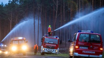 Auffrischender Wind droht Waldbrand in Mecklenburg-Vorpommern weiter anzufachen