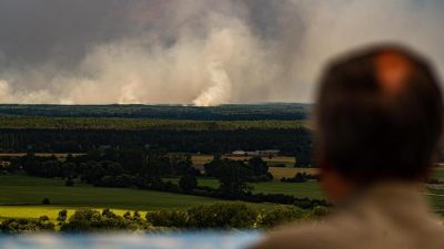 Landrat: Waldbrand in Mecklenburg-Vorpommern vorerst unter Kontrolle