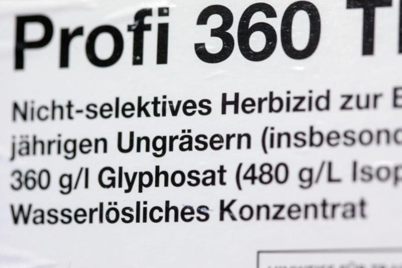 Titelbild