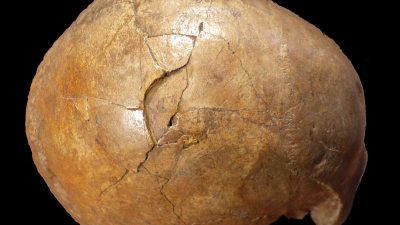 33.000 Jahre später: Forscher weisen Gewalttat nach