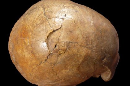 33.000 Jahre später: Forscher weisen Gewalttat nach
