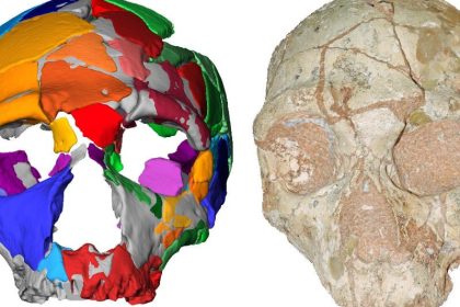 Geschichte des Homo sapiens erscheint immer älter und komplexer