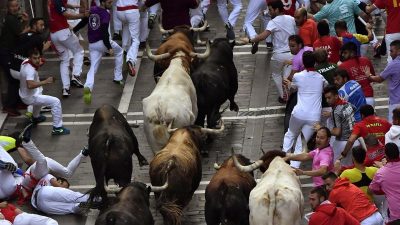 Stier spießt Mann bei Stierhatz in Spanien mit Hörnern auf – tot