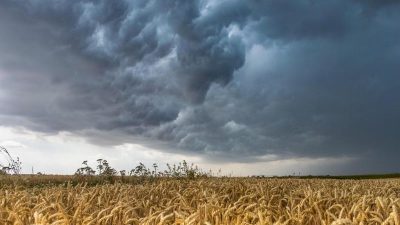 Nach Chaos-Freitag mit Tornados: Am Sonntag erneut Unwetter in Teilen Deutschlands möglich