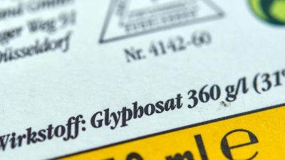 Klagen gegen Monsanto in den USA bedeuten Milliardenrisiko für Bayer