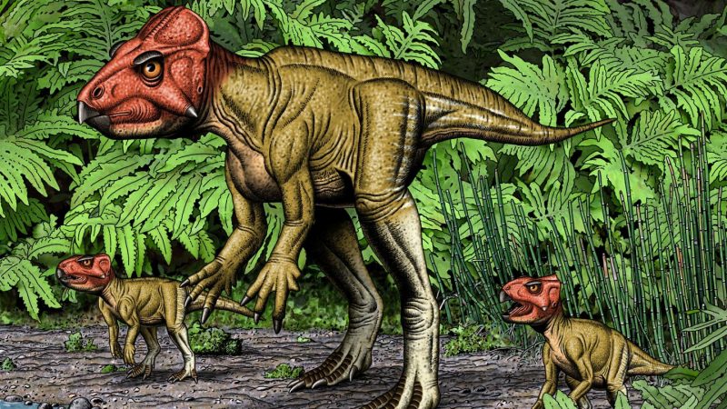 Triceratops auf zwei Beinen: Forscher entdecken Fossile von gehörnten Dinosauriern