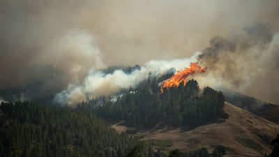 Weniger Wind: Waldbrand auf Gran Canaria lässt nach