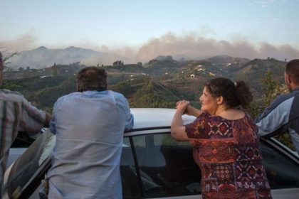Behörden: Waldbrand auf Gran Canaria außer Kontrolle geraten