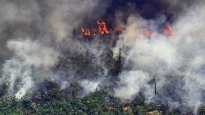 Hunderte neue Feuer in Brasilien – Militäreinsatz gegen Brände im Amazonasgebiet läuft an