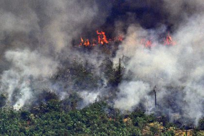 Gerald Grosz: Feuer im Regenwald, schweigende Politik und wo bleibt “Gretl” mit der “Zwergenarmee”?